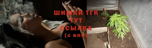 прущий лед Инта